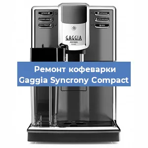 Чистка кофемашины Gaggia Syncrony Compact от кофейных масел в Нижнем Новгороде